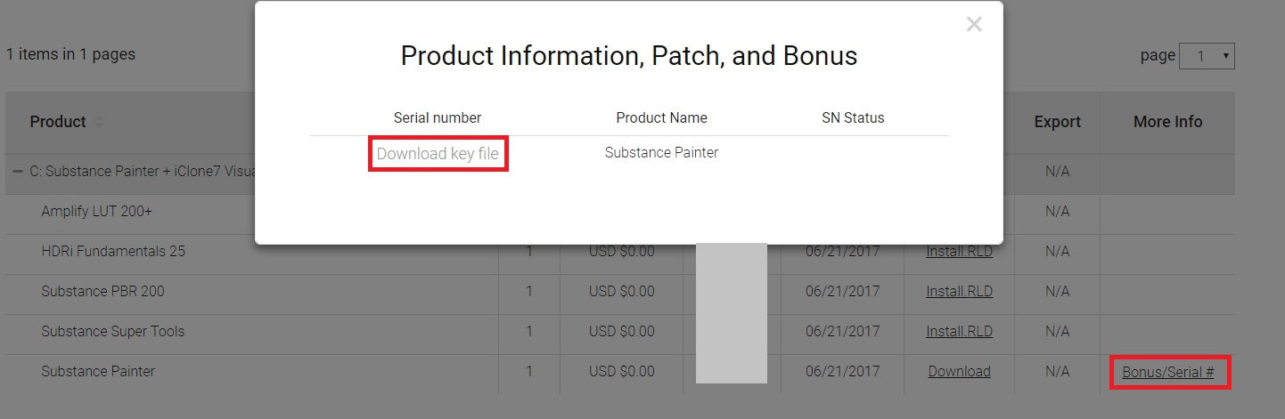 How do I activate the Substance Painter "license.key" file?